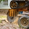 How Stump Grinding Can Enhance Your Landscape post image